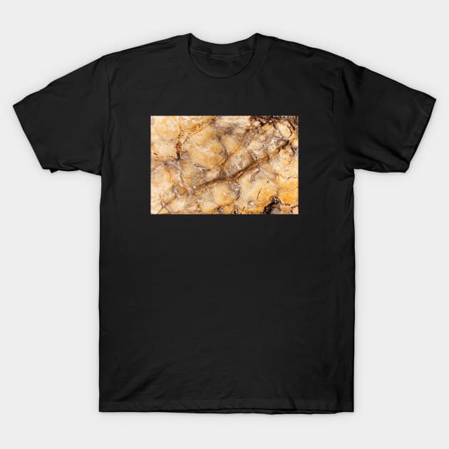 Orange Rustic Stone Surface T-Shirt by textural